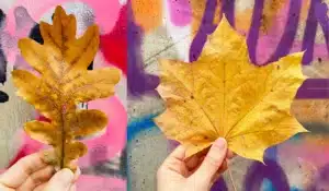 Herbstlaub in Berlin